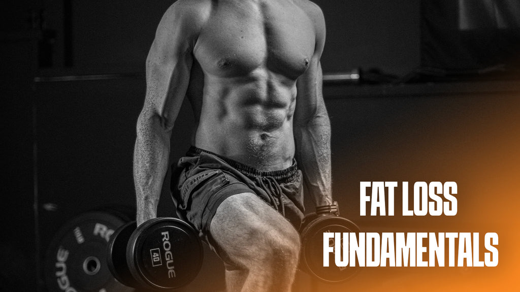 Ultimate Fat Loss Guide – Noah Perlo